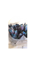 Load image into Gallery viewer, Blue Cherry Tulips (SOLD OUT)