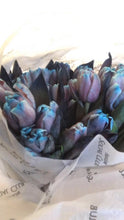 Load image into Gallery viewer, Blue Cherry Tulips (SOLD OUT)