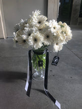 Load image into Gallery viewer, "Bone" White Gerbera Daisys