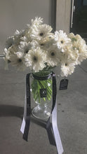 Load and play video in Gallery viewer, "Bone" White Gerbera Daisys