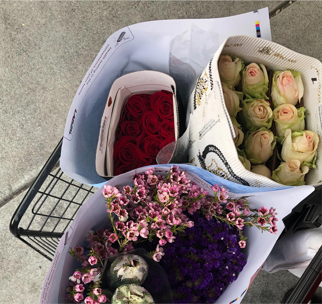 Monocots & Dicots Couples Kits