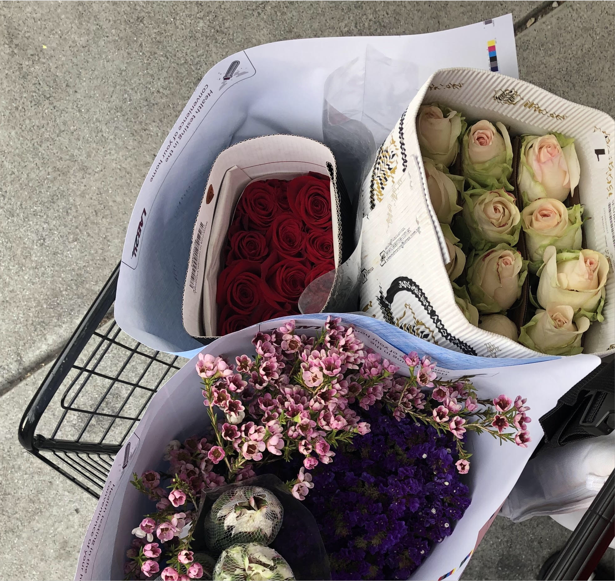 Monocots & Dicots Couples Kits