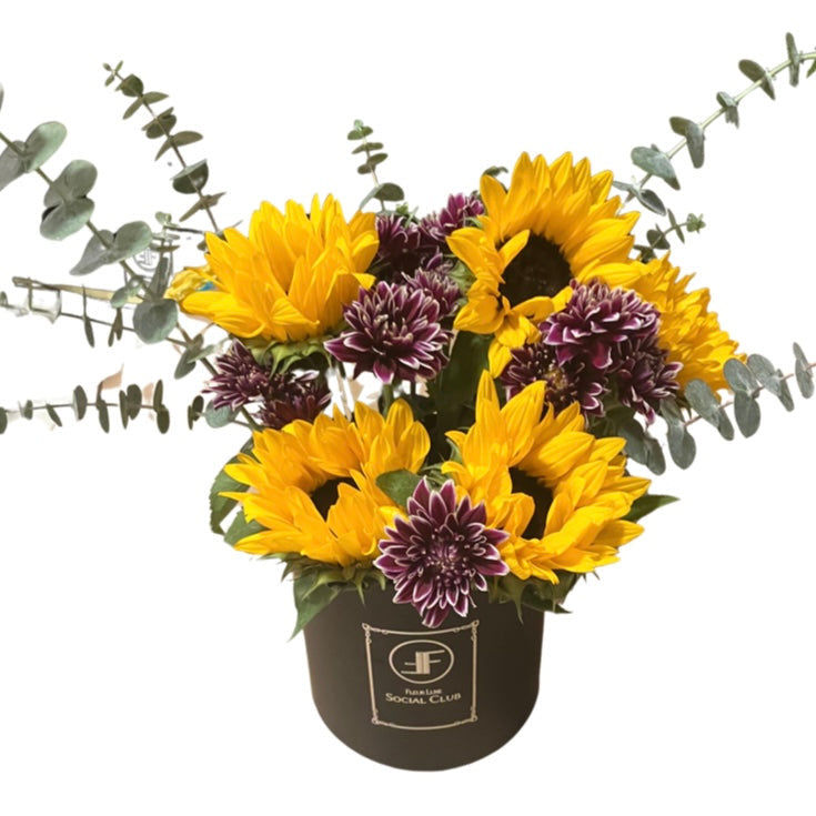 Sunny Side Up Bundle
