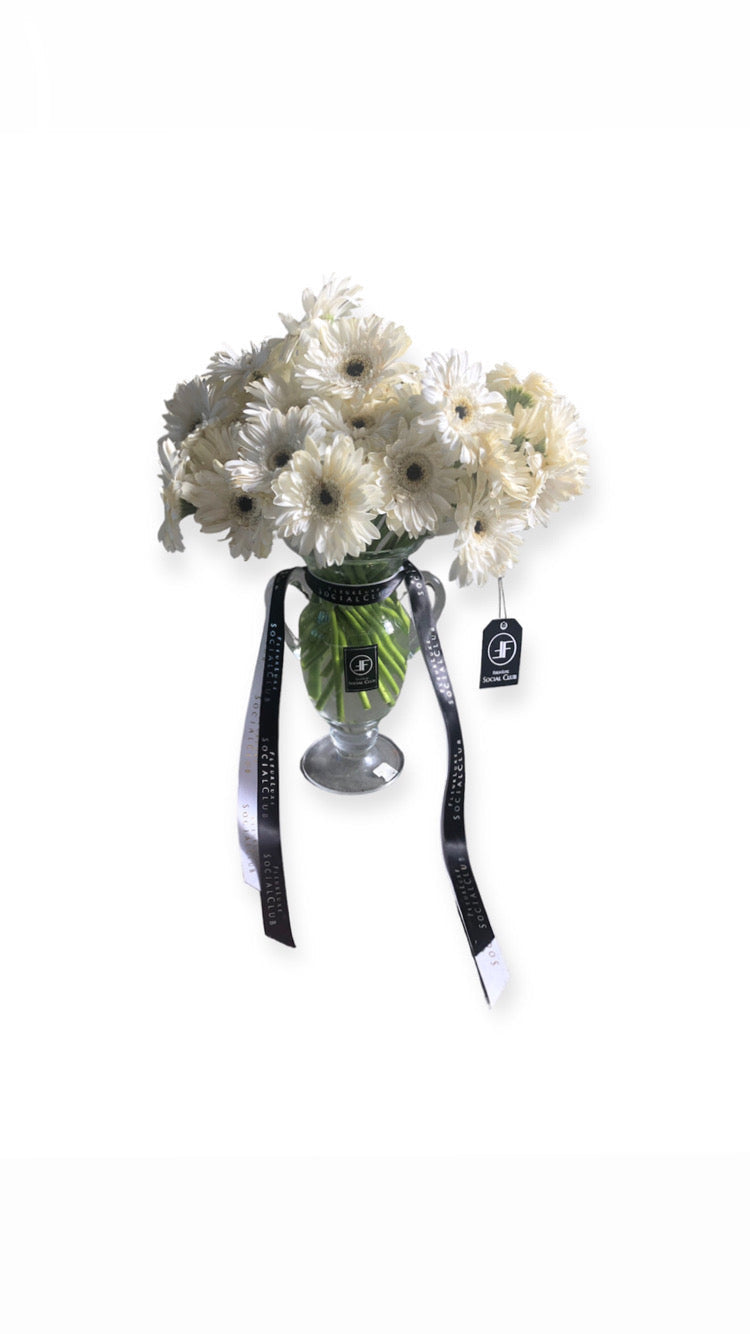White Gerbera Daisys Bundle