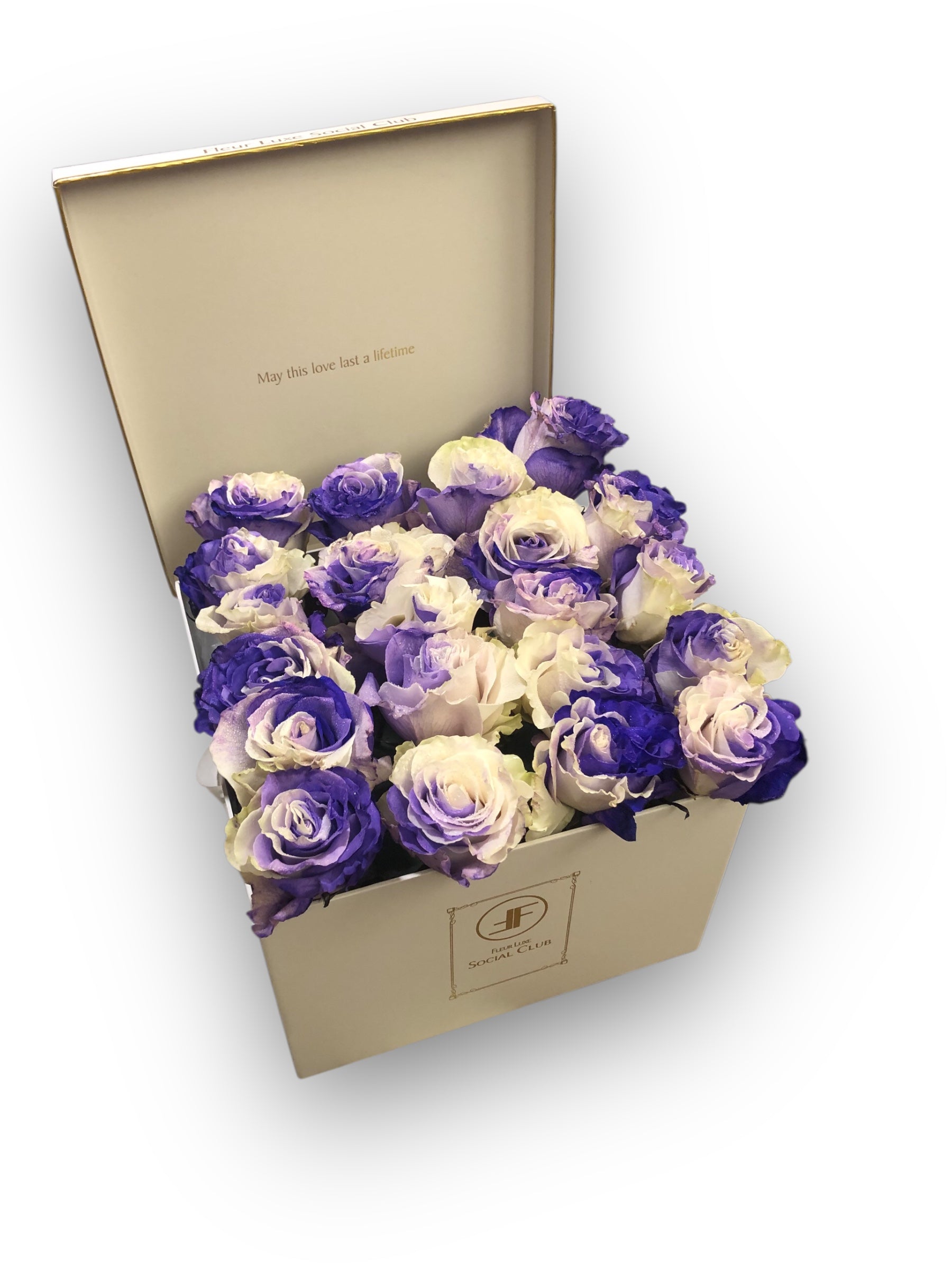 Pier Boyer Flower Box