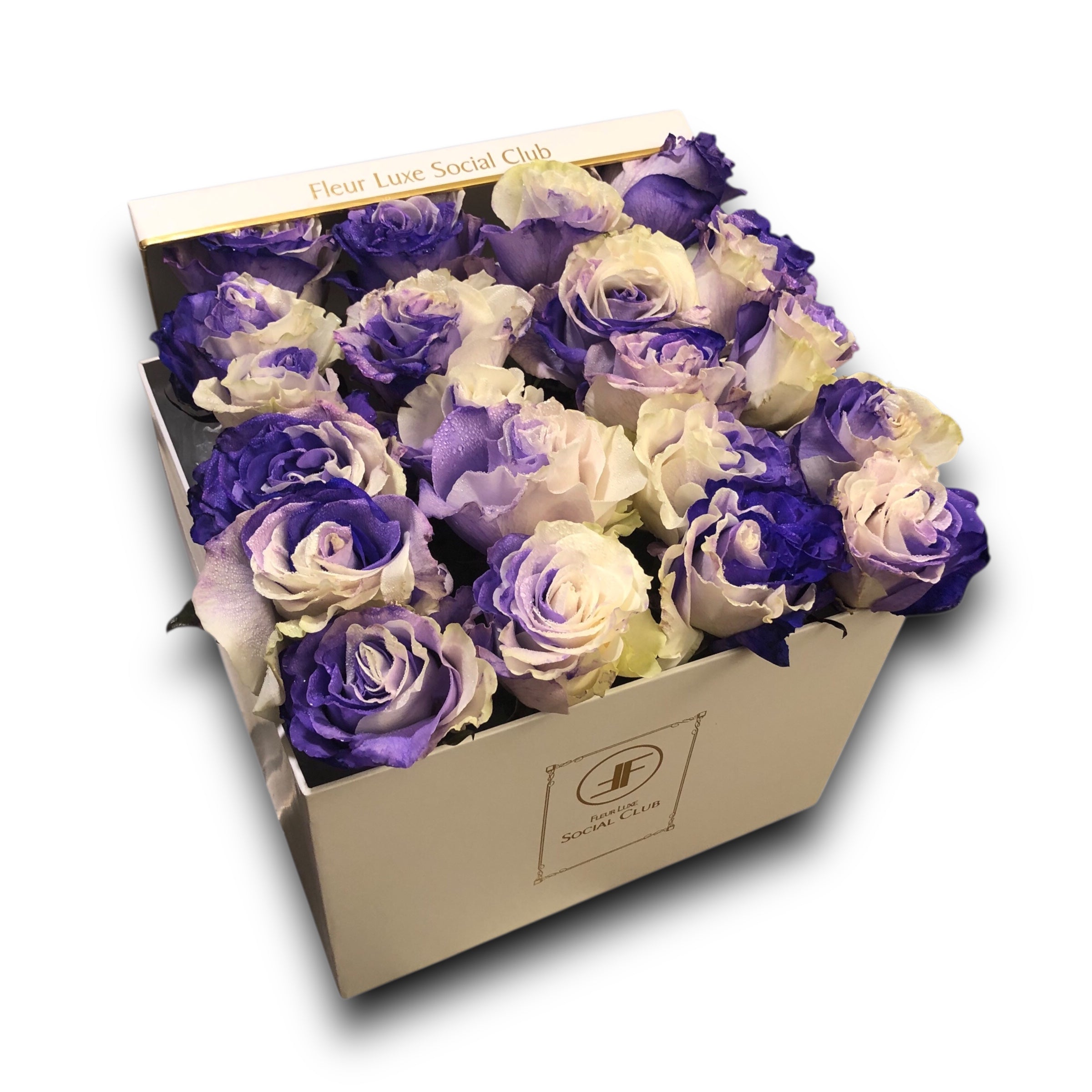 Pier Boyer Flower Box