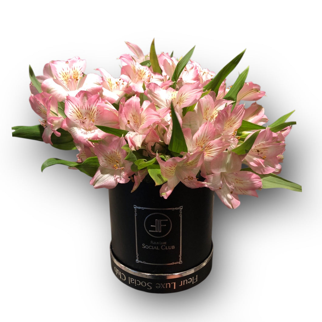 Giovanni’s Love Flower Box