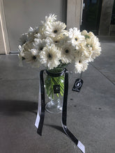 Load image into Gallery viewer, &quot;Bone&quot; White Gerbera Daisys
