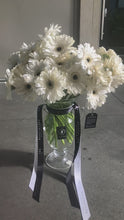 Load and play video in Gallery viewer, &quot;Bone&quot; White Gerbera Daisys
