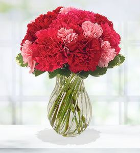Vacances Vaugrenier Carnations Bouquet