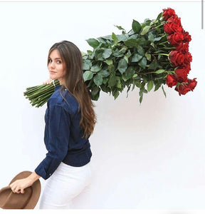 24 2ft. Tall Ecuadorian Long-Stem Red Roses